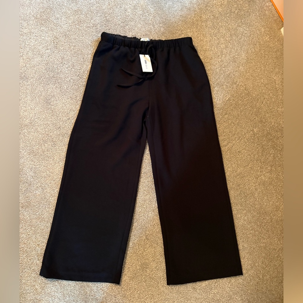 Aritzia lodge pants